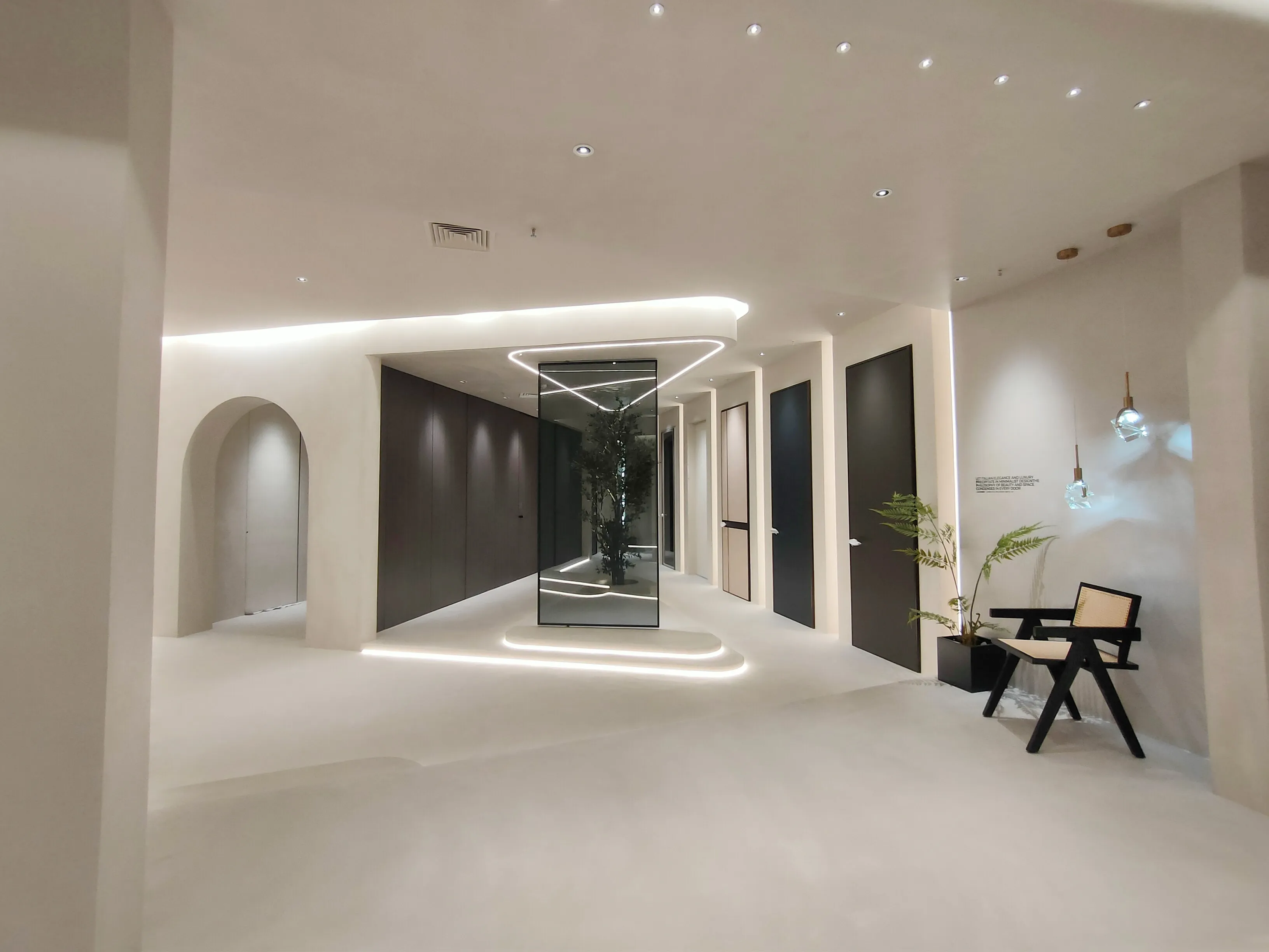 Picture Inorganic Plaster